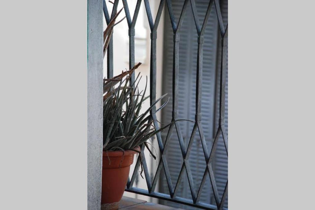 Apartamento Centro Encarnación 2º I Apartamento Sevilla Exterior foto